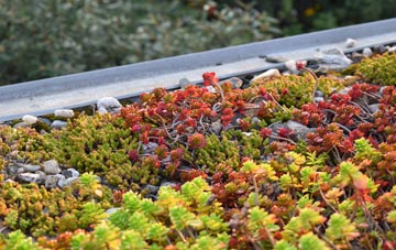 the cost of Lunts Heath green roof installation