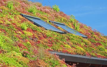 Lunts Heath living roof systems