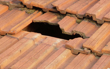 roof repair Lunts Heath, Cheshire
