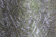 Lunts Heath fibreglass roof work