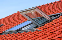 Lunts Heath roof window